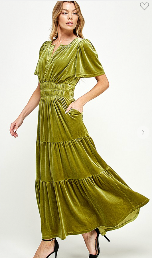 The Garden Velvet Dress